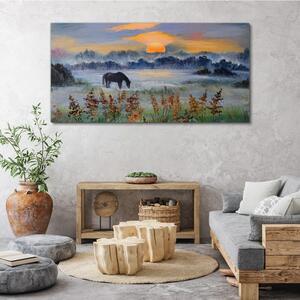 Obraz na plátně Obraz na plátně Louka zvířecí slunce