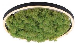 JUST LIGHT. 15391-66 - LED Stmívatelné stropní svítidlo GREEN RITU LED/20W/230V
