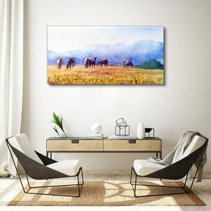 Obraz na plátně Obraz na plátně Zvířata koně louka příroda