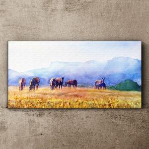 Obraz na plátně Obraz na plátně Zvířata koně louka příroda