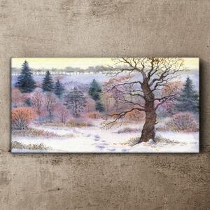 Obraz na plátně Obraz na plátně lesní zimní sníh příroda