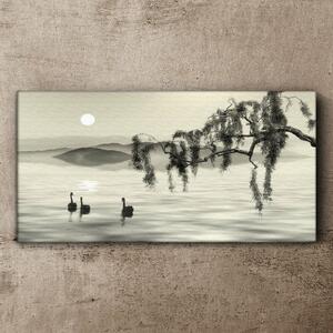 Obraz na plátně Obraz na plátně Jezero strom zvířecí pták