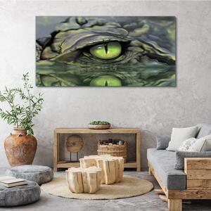 Obraz na plátně Obraz na plátně Zvířecí krokodýlí oční voda
