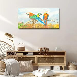 Obraz na plátně Obraz na plátně Zvířecí ptáci papoušek mraky