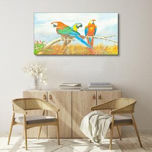Obraz na plátně Obraz na plátně Zvířecí ptáci papoušek mraky