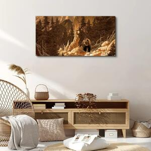 Obraz na plátně Obraz na plátně Lesní medvěd hor divoké zvěře