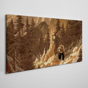 Obraz na plátně Obraz na plátně Lesní medvěd hor divoké zvěře