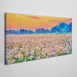 Obraz na plátně Obraz na plátně Pampeliška louka západu slunce