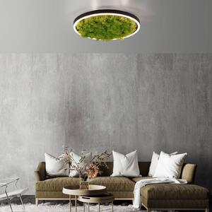 JUST LIGHT. GmbH LED stropní svítidlo Green Ritus, mechové stmívatelné Ø39,3cm, stmívatelný, Zelená, Obývací pokoj / jídelna, Moderní