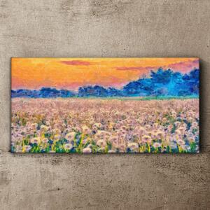 Obraz na plátně Obraz na plátně Pampeliška louka západu slunce