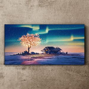 Obraz na plátně Obraz na plátně Abstrakce strom sky noc