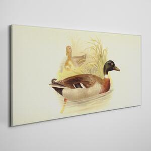 Obraz na plátně Obraz na plátně Abstrakce zvířat