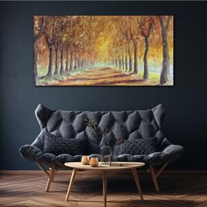 Obraz na plátně Obraz na plátně Park stromy podzimní příroda