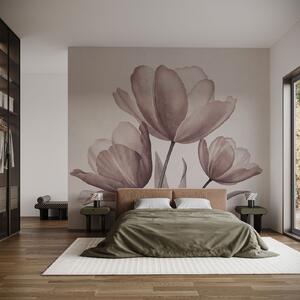 Fototapeta Elegantní tulipány v jemných pastelových odstínech, Květinové fototapety, Populární fototapety, t00762v3 - Tapeko.co.cz