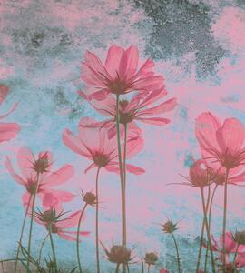 MS-3-0362 Vliesová fototapeta Abstrakt růžové květy | 225 x 250 cm
