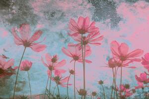 DIMEX | Vliesová fototapeta Abstrakt růžové květy MS-5-0362 | 375 x 250 cm| růžová, modrá, vícebarevná