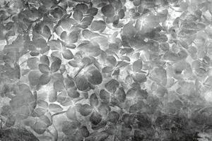 DIMEX | Vliesová fototapeta Abstrakt květy jabloně II. MS-5-0355 | 375 x 250 cm| černá, bílá