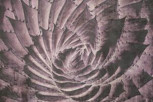 DIMEX | Vliesová fototapeta Abstrakt kaktus MS-5-0352 | 375 x 250 cm| fialová, černá