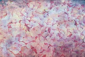 DIMEX | Vliesová fototapeta Abstrakt květy jabloně I. MS-5-0354 | 375 x 250 cm| růžová, vícebarevná