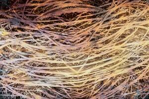 DIMEX | Vliesová fototapeta Abstrakt seno I. MS-5-0381 | 375 x 250 cm| hnědá, béžová, vícebarevná