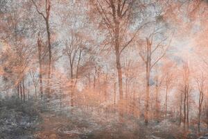 DIMEX | Vliesová fototapeta Abstrakt barevný les MS-5-0390 | 375 x 250 cm| růžová, vícebarevná