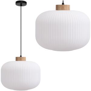 Toolight Toolight, stropní svítidlo ze skla 1xE27, bílá, OSW-04412