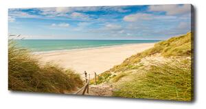 Foto obraz na plátně Mořské duny pl-oc-125x50-f-68501535