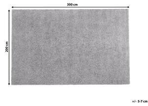 Světle šedý koberec 200x300 cm DEMRE