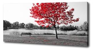 Foto obraz na plátně Červený strom pl-oc-125x50-f-76838967