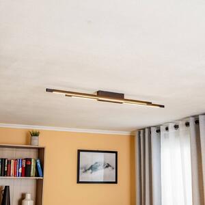 Stropní svítidlo Quitani Talon LED 2fl černě eloxované