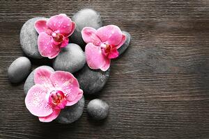 Fototapeta Zen kompozice s orchidejí