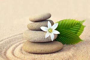 Samolepící fototapeta bílý květ a kameny v písku