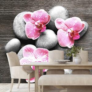 Fototapeta Zen kompozice s orchidejí