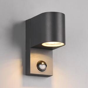 Trio Lighting Venkovní Roya 1 zdroj senzor, kulaté antracit, stmívatelný, Černá, Hliník, Moderní