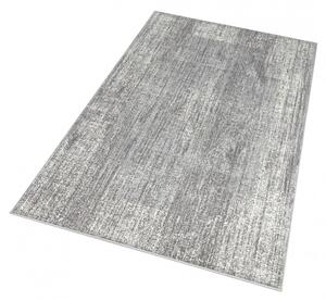 Moderní kusový koberec Celebration 103471 | šedý Typ: 80x150 cm