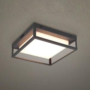 Trio Lighting Venkovní stropní svítidlo LED Witham IP54, antracitová barva, Černá, kov, Moderní