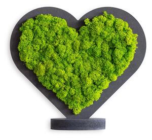 Piktogram Srdce zelené