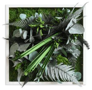 Rostlinný obraz s designem Džungle 35x35