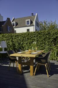 Yasmani zahradní set Hartman s teakovým stolem 180x90cm Sophie - barva židle: mahagony seat
