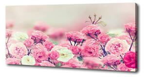 Moderní fotoobraz canvas na rámu Květy divoké růže pl-oc-125x50-f-84071229