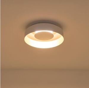 LED Stropní svítidlo STIGMA LED/20W/230V 3000K bílá
