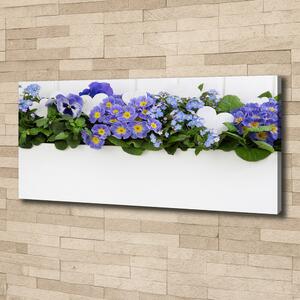 Foto obraz na plátně do obýváku Modré květiny pl-oc-125x50-f-99973378