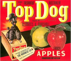 Retro cedule - Fancy Apples poster