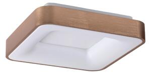 Rabalux 5057 - LED Stropní svítidlo CARMELA LED/50W/230V RL5057