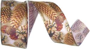 Stuha taftová Pinecone Elegance vánoční 40mm x 2m (14,-Kč/m)
