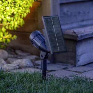 STAR TRADING LED bodovka Powerspot 19 cm RGBW, 80 lm, černá, s kolíkem do země, Černá, Plast, Moderní, Venkovní bodové svítidlo / zabodnuté do země