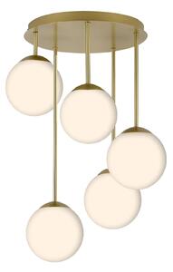 Toolight Rea, LAMP APP1818-5CPR GOLD, OSW-00668