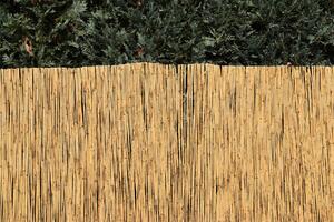 Vingo Rákosová zástěna na plot Výška plotu: 100 cm, Délka plotu: 600 cm