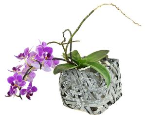 Vingo Hranatý květináč z dýhy šedý s igelitovou vložkou Rozměry (cm): 12x12, v. 11