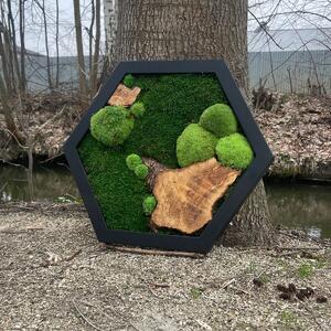 Mechový obrázek hexagon